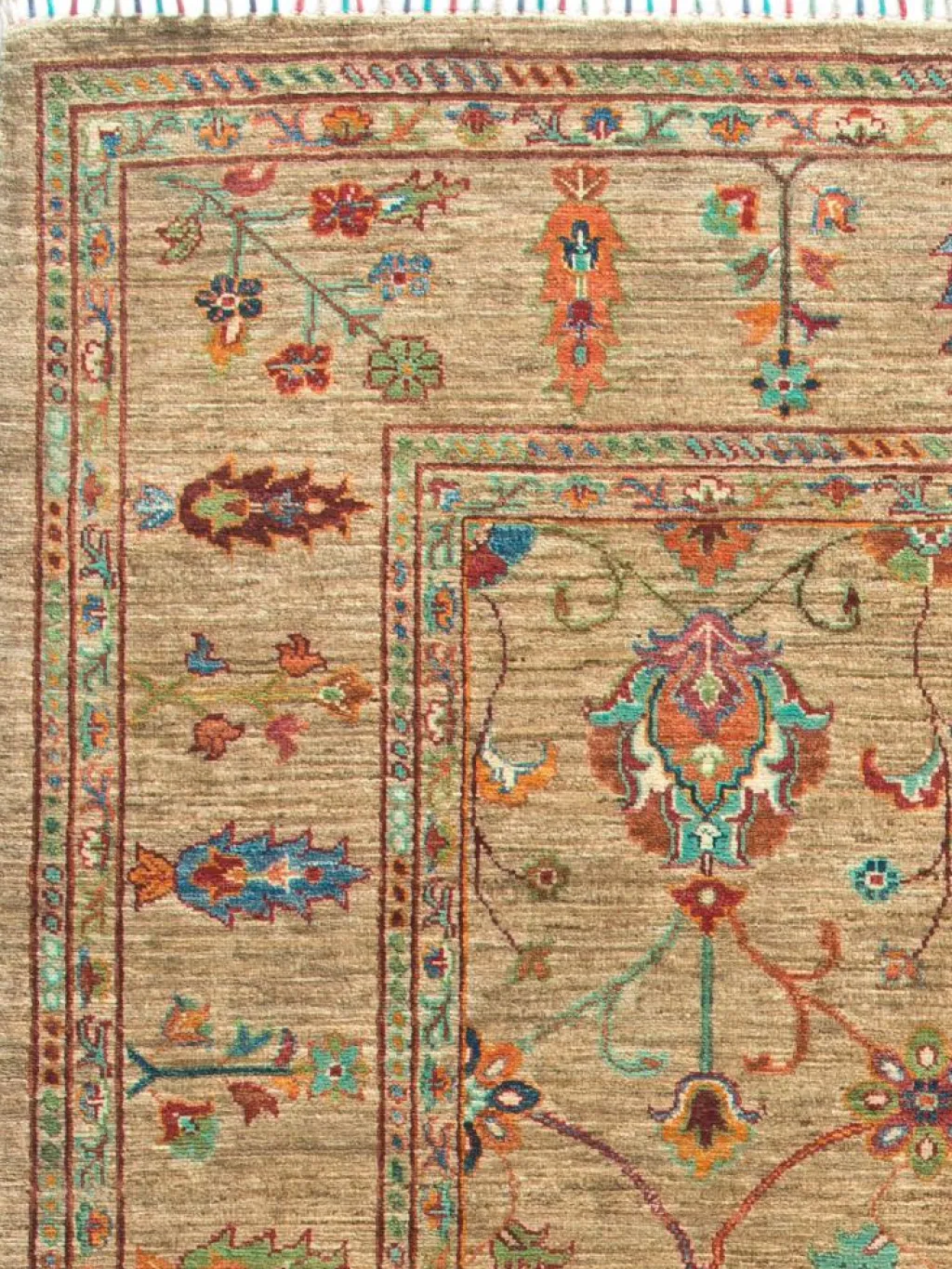 Kazak Phool|Kibek Hot