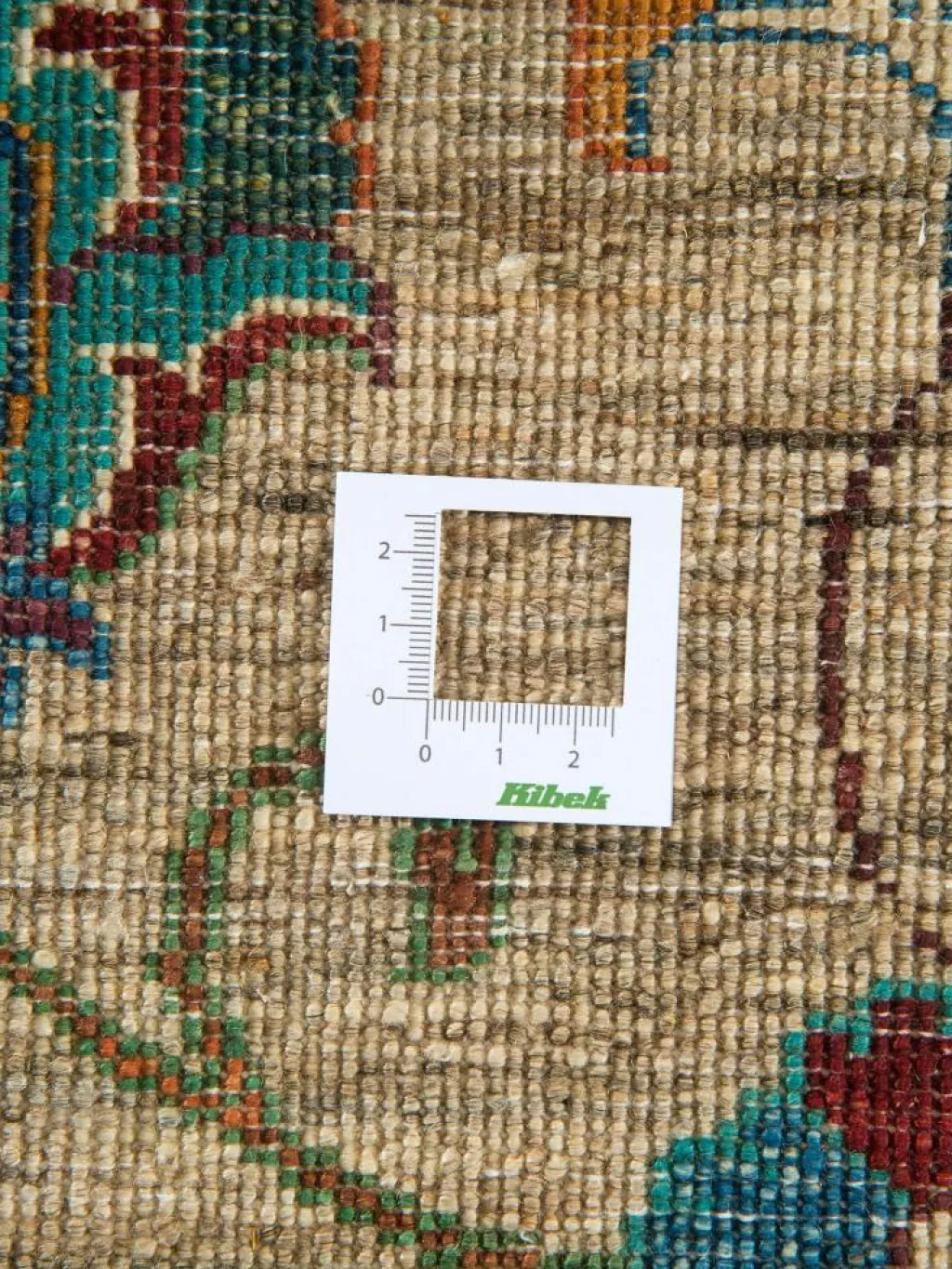 Kazak Phool|Kibek Hot