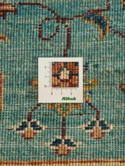 Kazak Phool|Kibek Hot