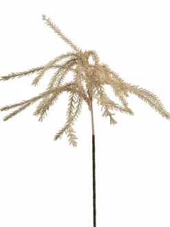 Klariola|Kibek Outlet