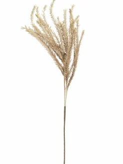 Klariola|Kibek Outlet