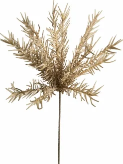 Klariolo|Kibek Outlet