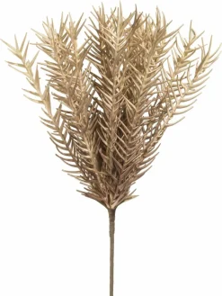 Klariolo|Kibek Outlet