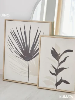 Klimata|Kibek Discount