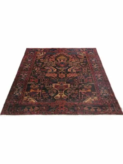 Koliai Hamadan|Kibek Online