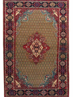 Koliai Hamadan|Kibek New