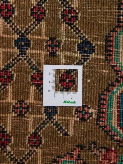 Koliai Hamadan|Kibek New