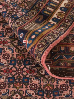 Koliai Hamadan|Kibek Hot