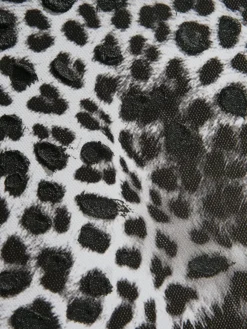 Leopard auf der Jagd|Kibek Best