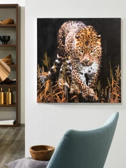 Leopard im Gras|Kibek