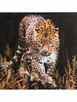 Leopard im Gras|Kibek