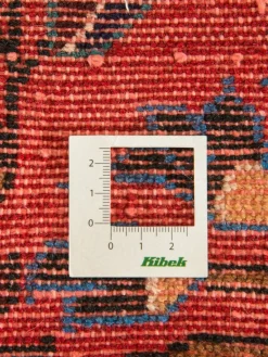 Lilian Hamadan|Kibek New