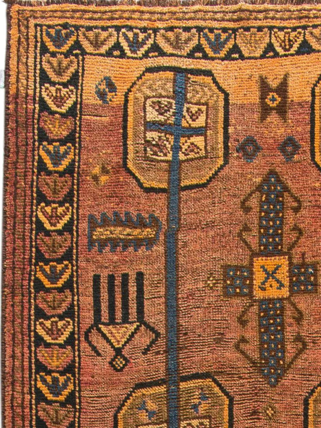 Lori|Kibek Clearance