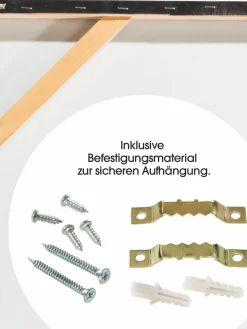 Löwe im Gras|Kibek Online