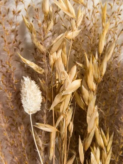 Lytra|Kibek Discount