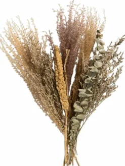 Lytra|Kibek Clearance