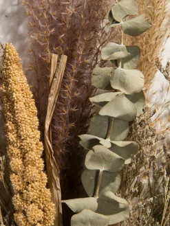 Lytra|Kibek Clearance