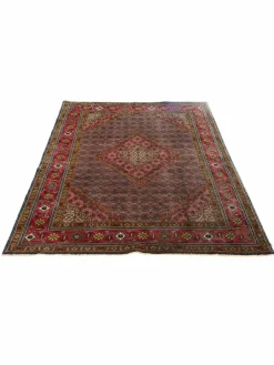 Meshkin|Kibek Clearance