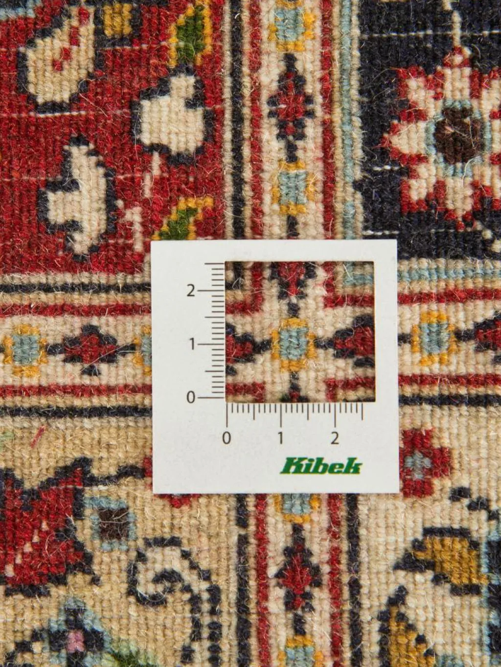 Moud Felder|Kibek Online