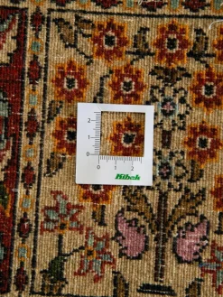 Moud Felder|Kibek Online