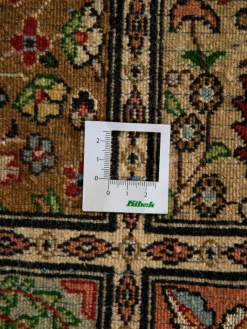 Moud Felder|Kibek Online