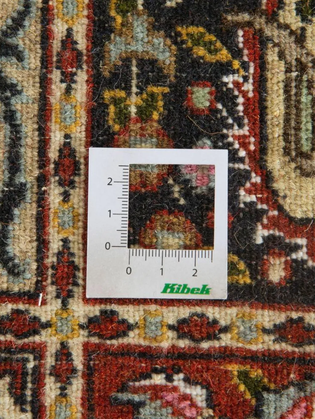 Moud Felder|Kibek Outlet