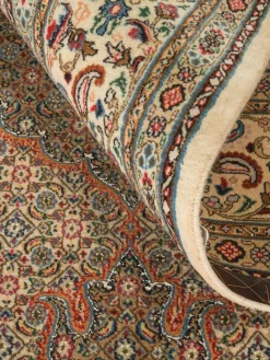 Moud Mahi|Kibek Clearance