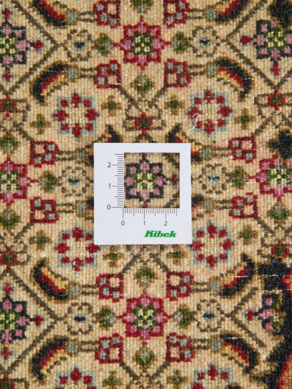 Moud Mahi|Kibek Discount