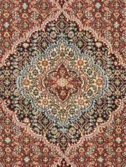 Moud Mahi|Kibek Clearance