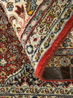 Moud Mahi|Kibek Clearance