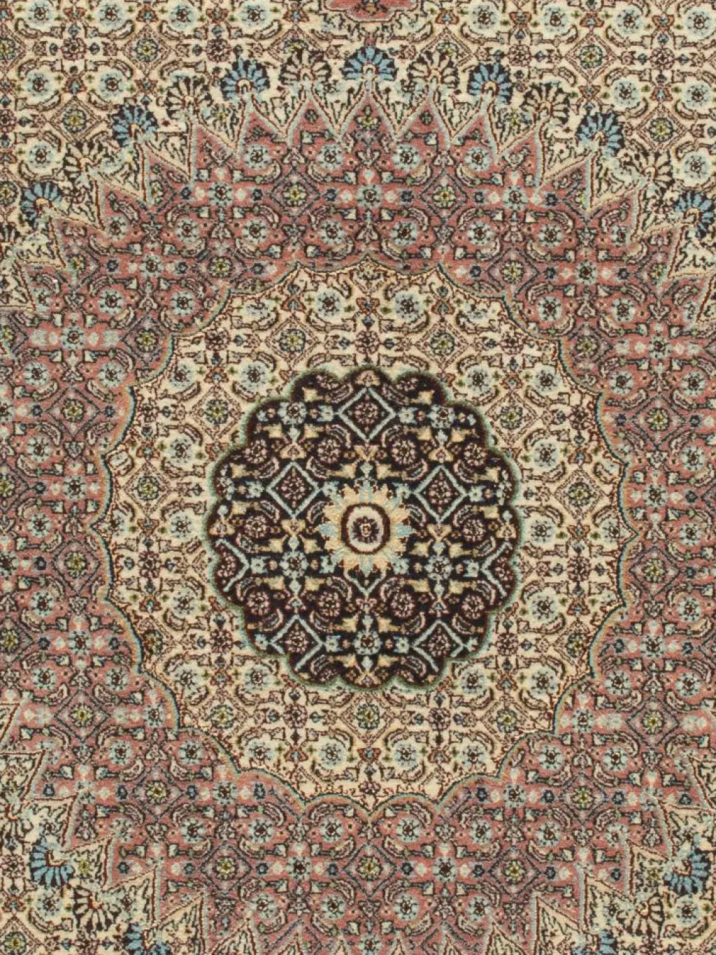 Moud Mahi|Kibek Clearance