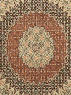 Moud Mahi|Kibek Online