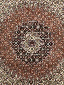 Moud Mahi|Kibek Discount