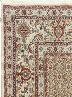 Moud Mahi|Kibek Outlet