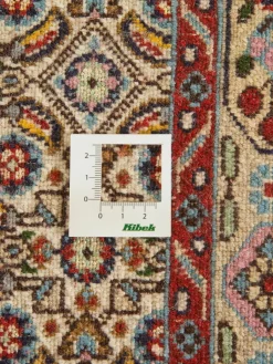 Moud Mahi|Kibek Outlet