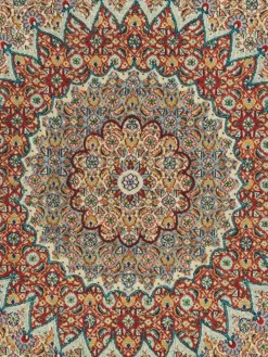 Moud Mahi|Kibek Online