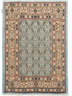 Moud Mahi|Kibek Clearance