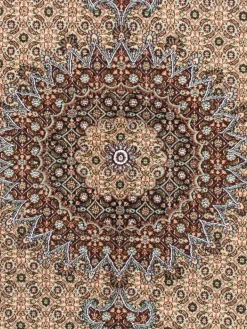 Moud Mahi|Kibek Online