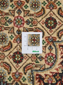 Moud Mahi|Kibek Outlet