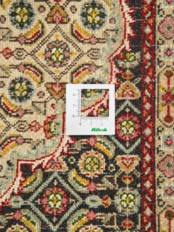 Moud Mahi|Kibek Discount