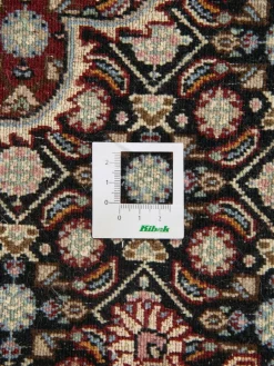 Moud Mahi|Kibek Outlet