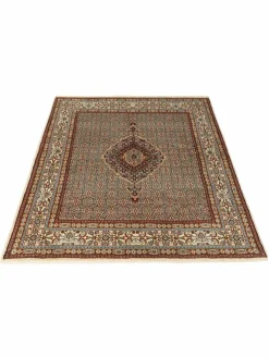 Moud Mahi|Kibek Discount