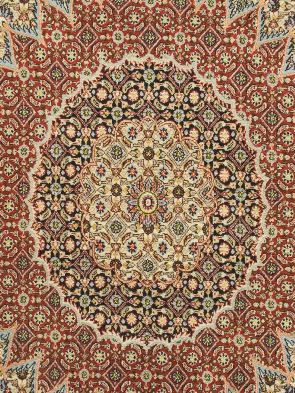 Moud Mahi|Kibek Discount