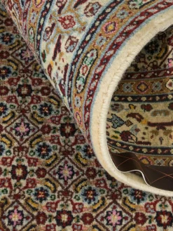 Moud Mahi|Kibek Online