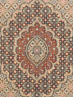 Moud Mahi|Kibek Online