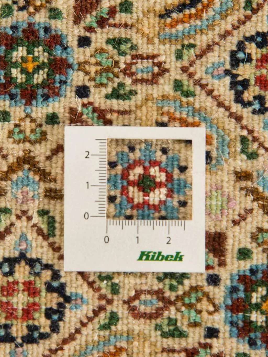 Moud Mahi|Kibek Discount