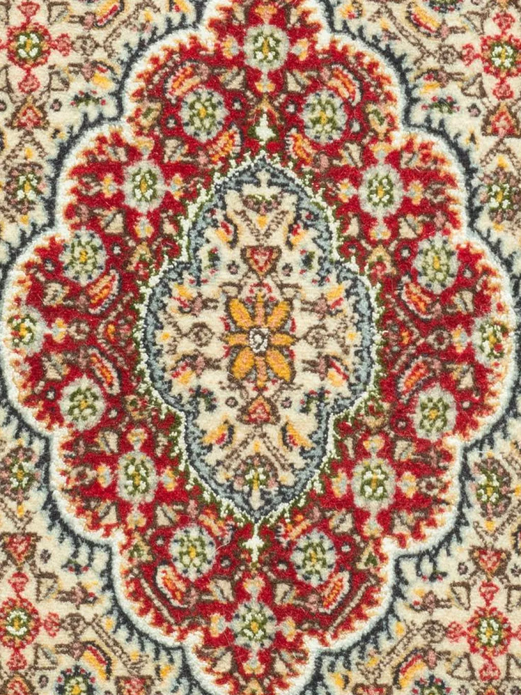 Moud Mahi|Kibek Discount