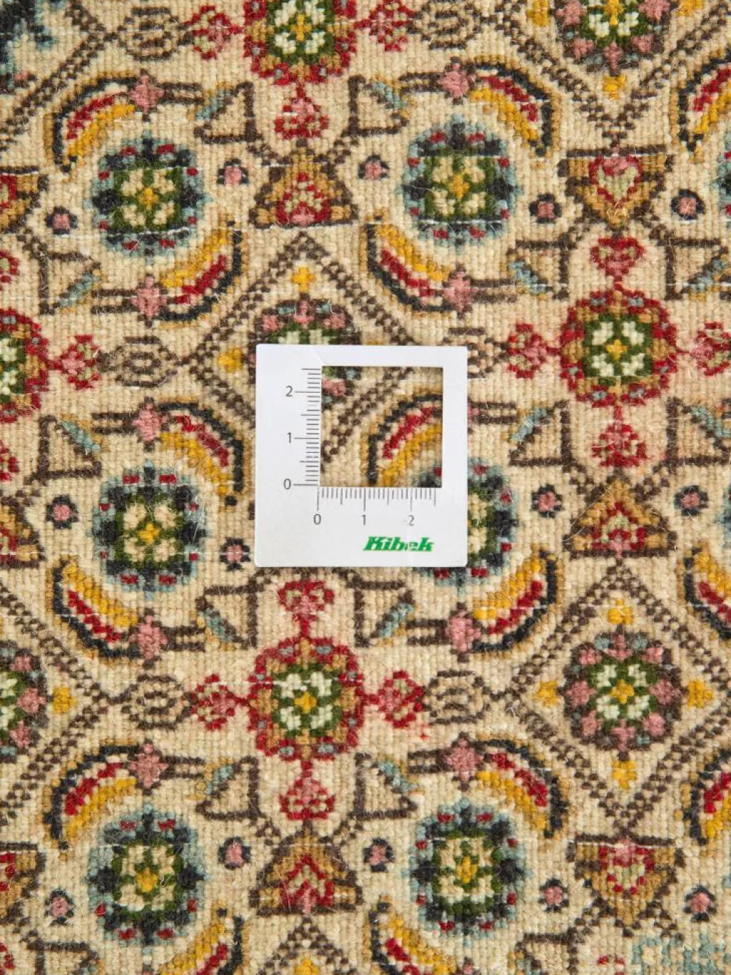 Moud Mahi|Kibek Discount