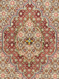 Moud Mahi|Kibek Discount