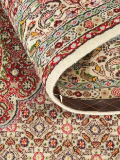 Moud Mahi|Kibek Discount